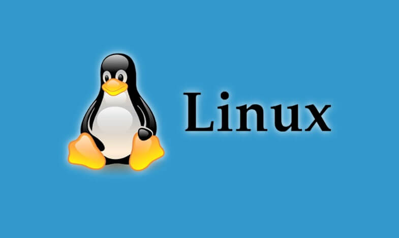 20个linux常用命令